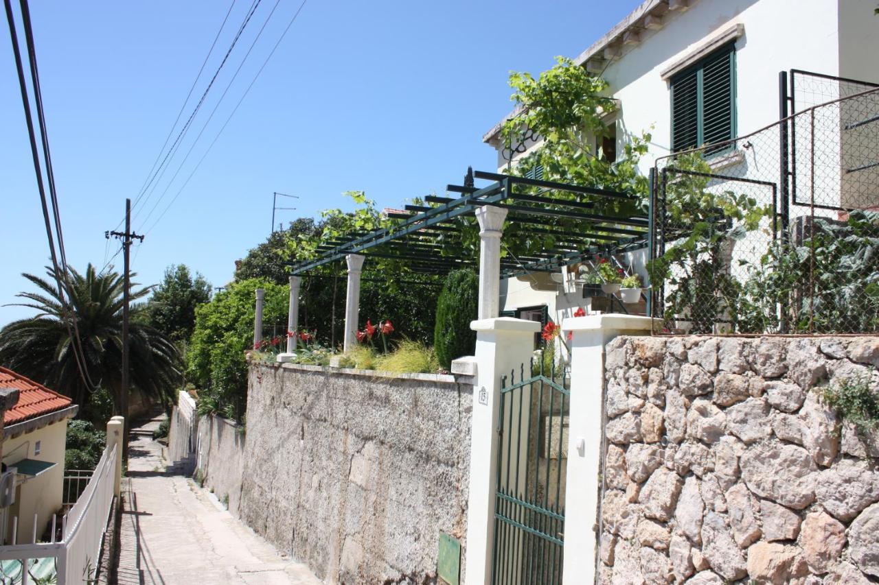Arbanasin Apartamento